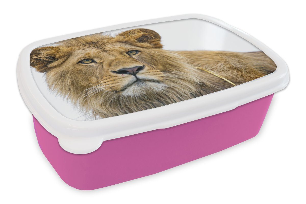 Kunststoff Snackbox, Brotdose Kinder, - rosa Brotbox Löwe Erwachsene, (2-tlg), Mädchen, für Kunststoff, MuchoWow - Porträt, Lunchbox Weiß