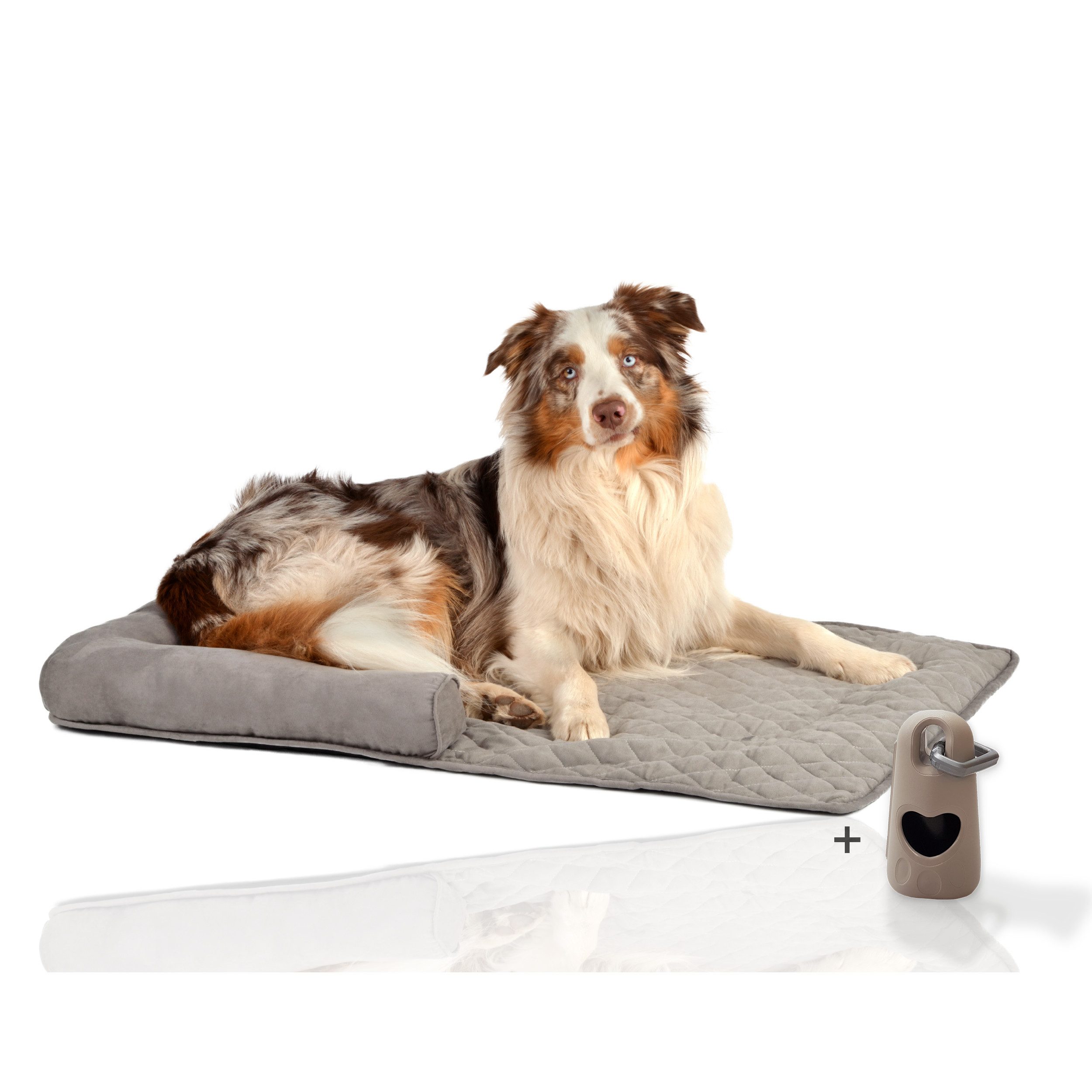 Rohrschneider Tierdecke Couchkissen Hund Hundebett Sofaschutz Möbelschutz Kofferraumschutz, Gesteppt, mit Rand