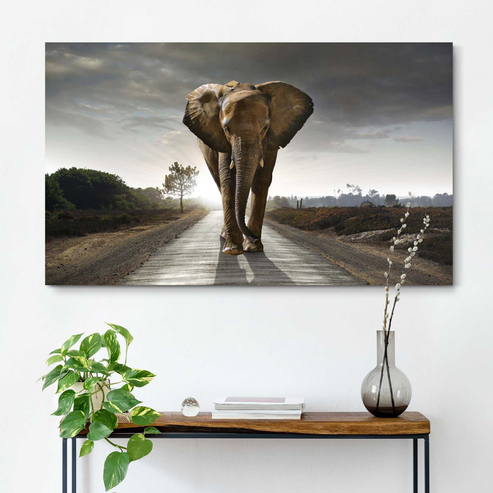 Wandbild Elefant König