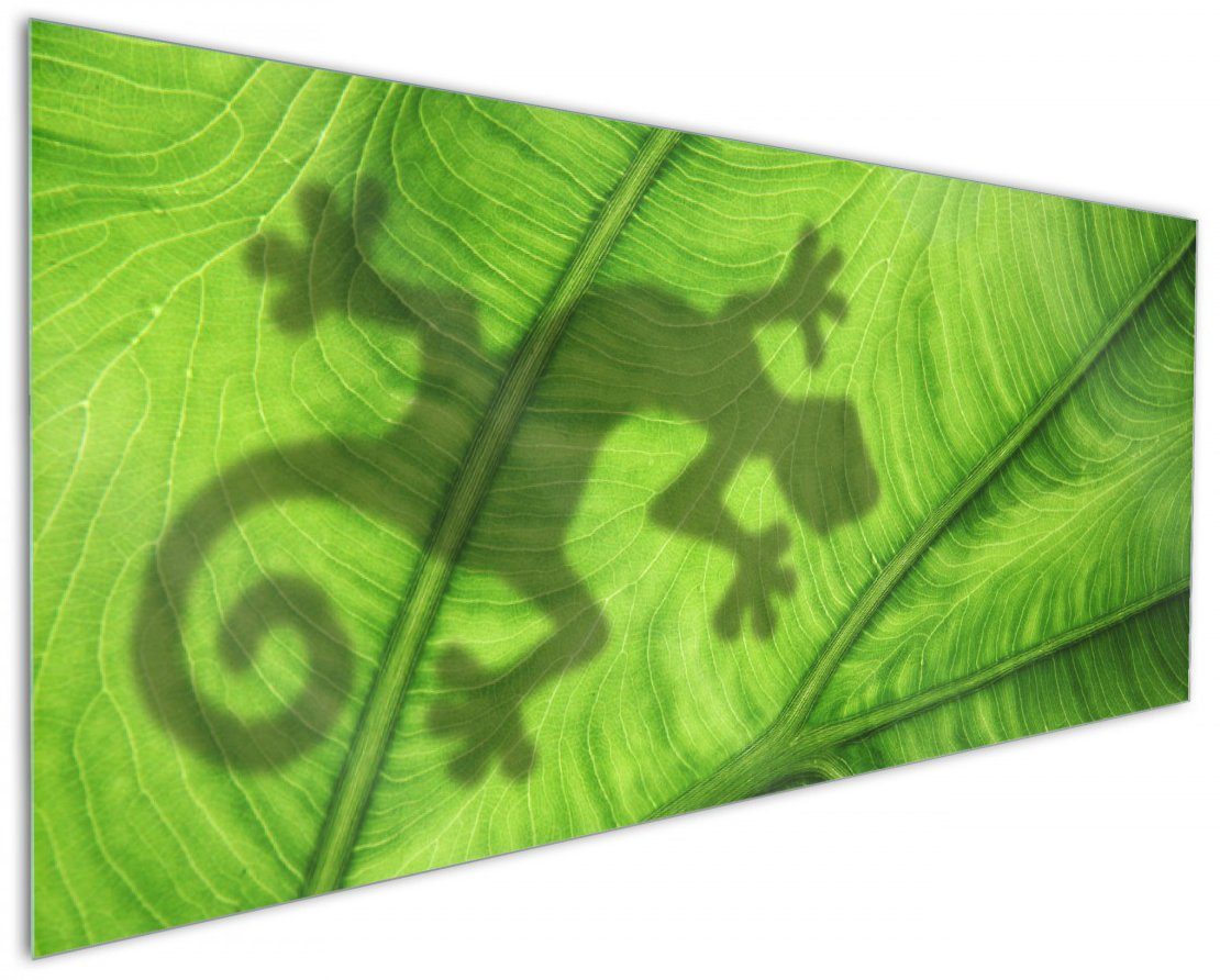 Wallario Küchenrückwand Gecko Schatten auf grünem Blatt - Umriss, (1-tlg)