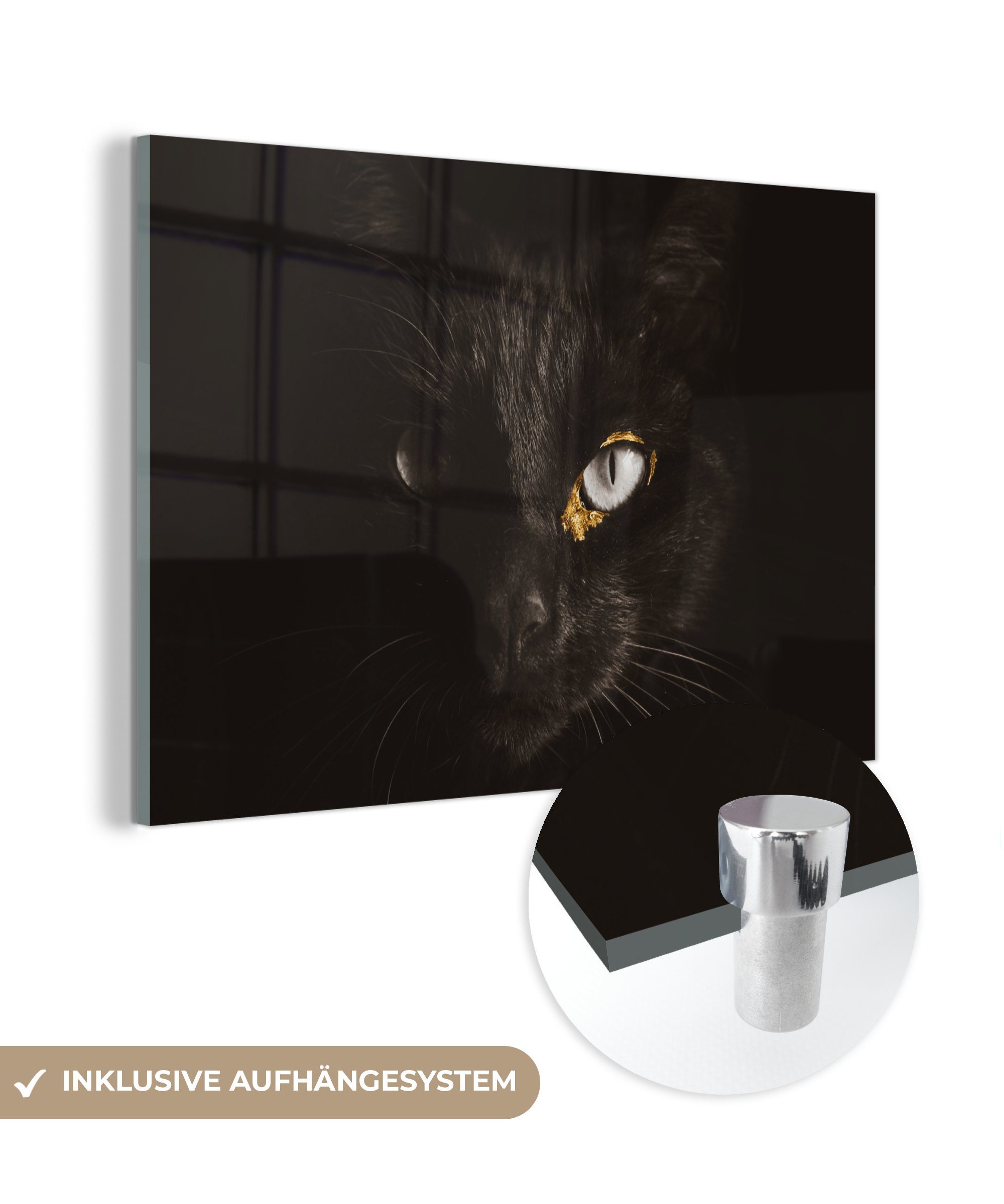 MuchoWow Acrylglasbild Katze - (1 auf Bilder Wandbild Glas - Glasbilder Glas auf Wanddekoration - - Foto Schwarz, Gold - St)