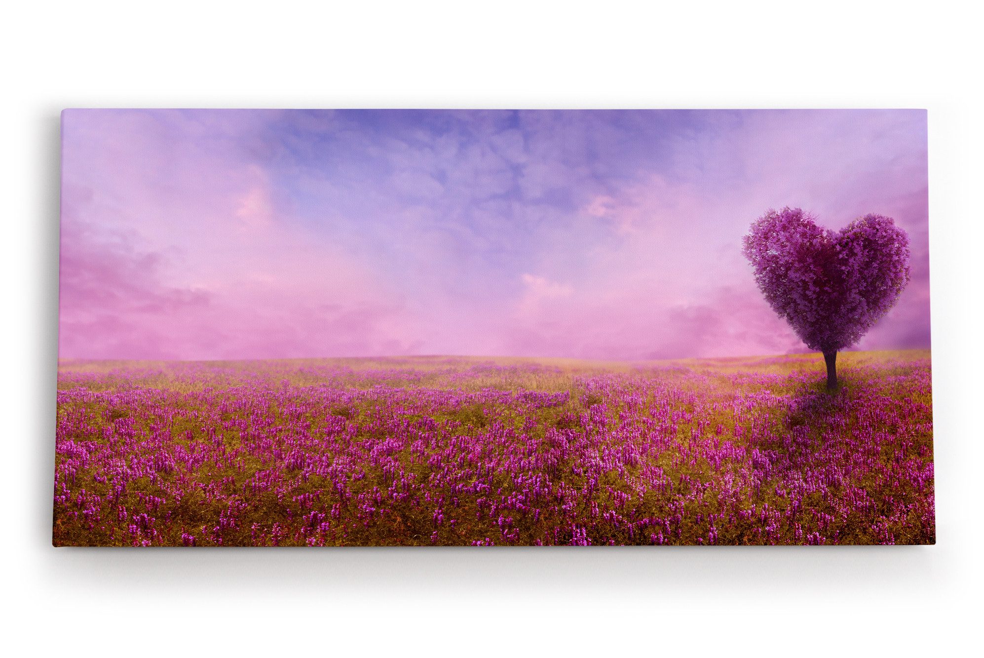 Leinwandbild Blumenfeld Wildblumen Feld Blumen Lavendel