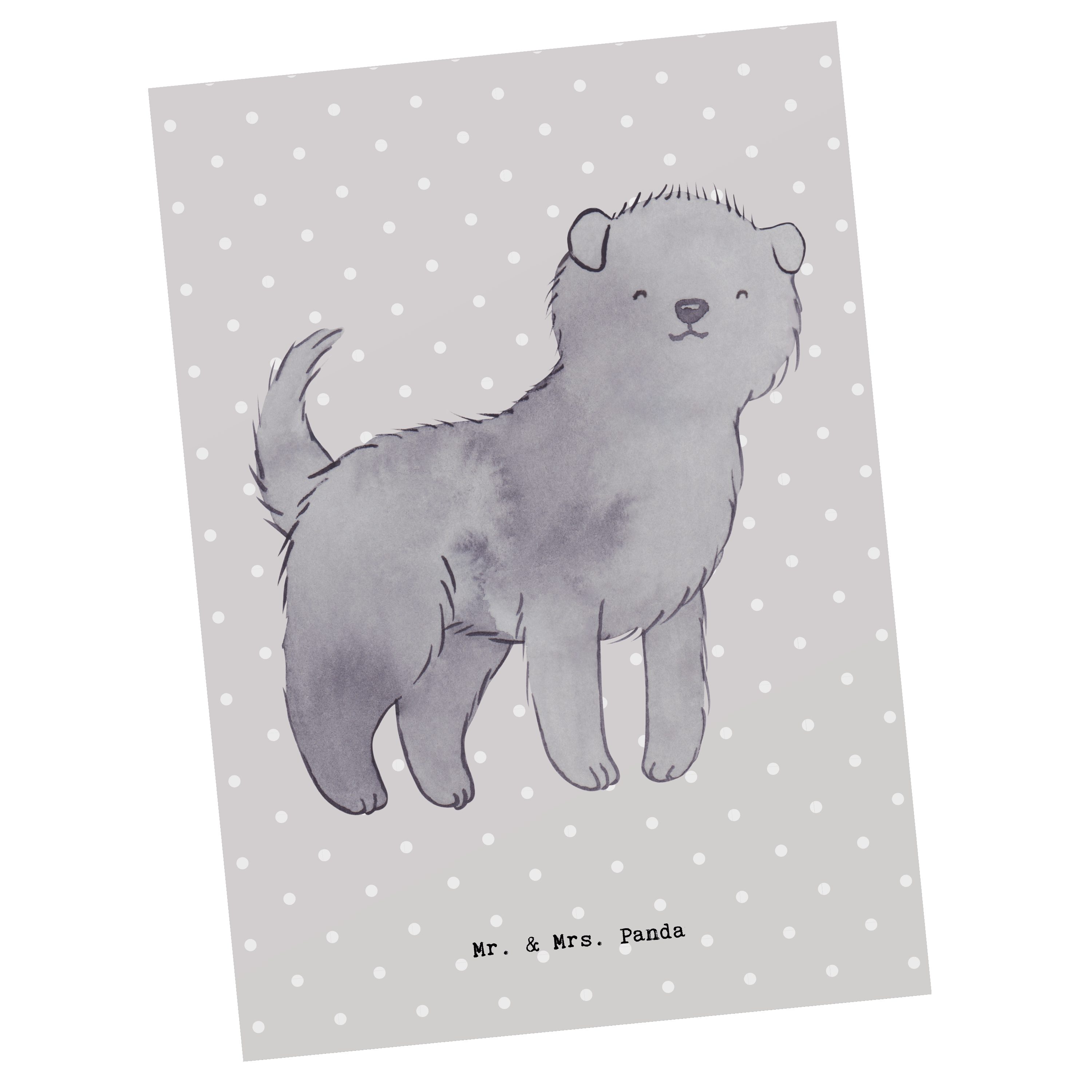 Mr. & Mrs. Panda Postkarte Affenpincher Moment - Grau Pastell - Geschenk, Dankeskarte, Hunderass