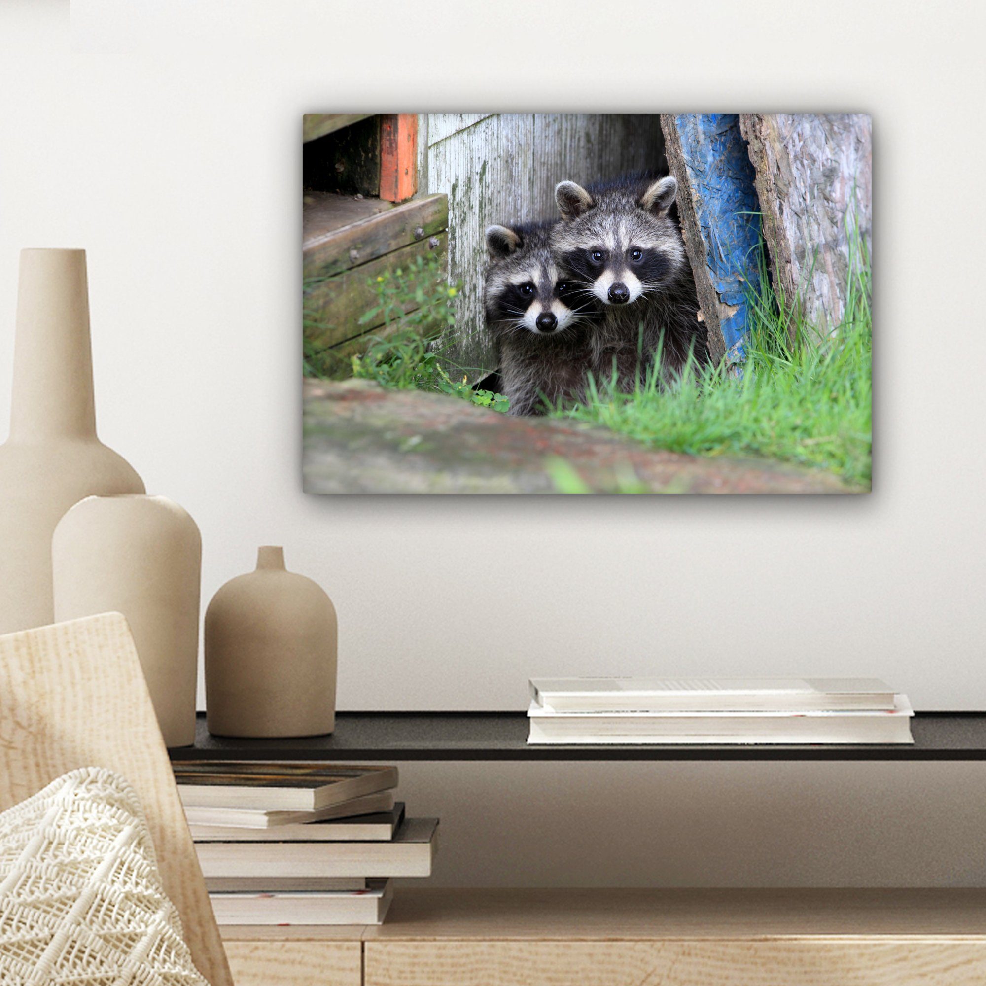 Natur, cm Wanddeko, Tiere Leinwandbild St), Waschbär - Wandbild (1 Aufhängefertig, - 30x20 Leinwandbilder, OneMillionCanvasses®