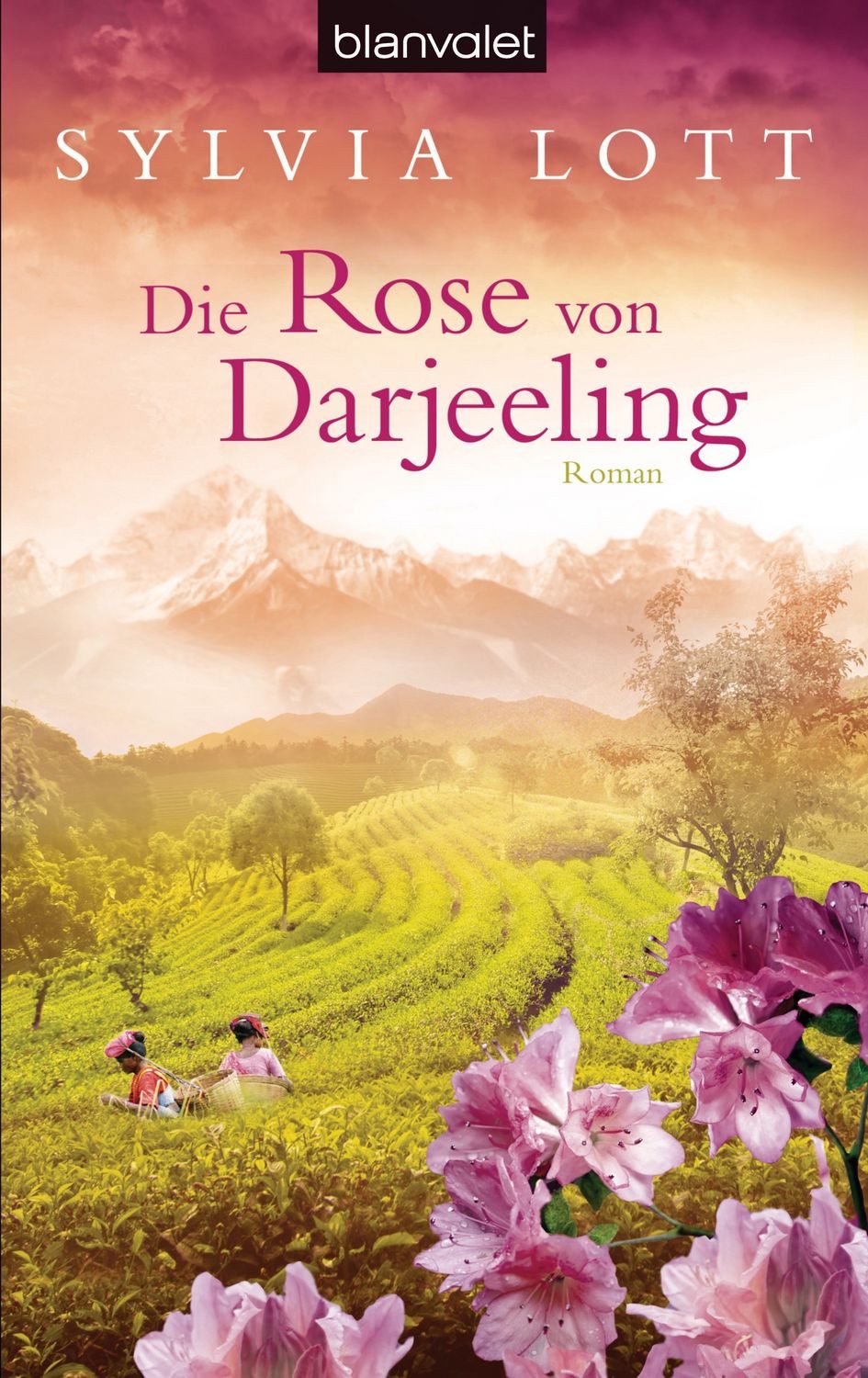 Die Rose von Darjeeling / Sylvia Lott, Roman