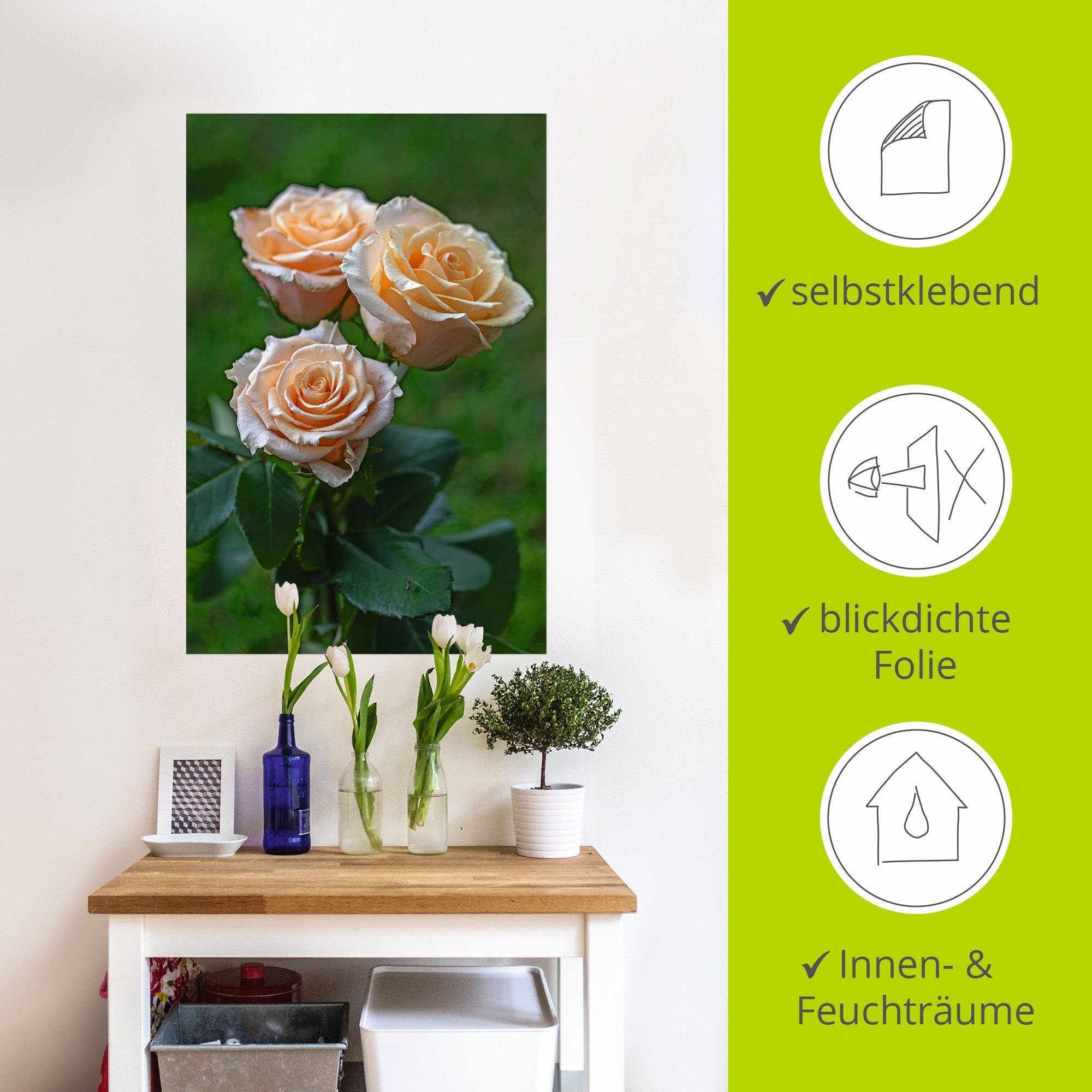 in Leinwandbild, als Poster Blumenbilder Wandbild Größen (1 Wandaufkleber Alubild, Rosen, versch. wunderschöne Artland St), oder