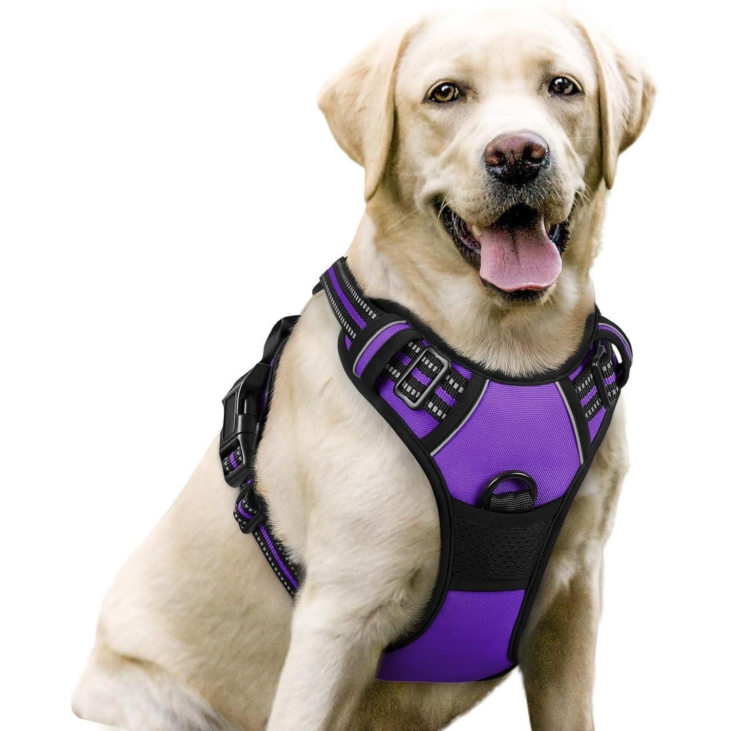 LuxusKollektion Hunde-Sicherheitsgeschirr Hundegeschirr No Pull Anti Zug Brustgeschirr Lila L (1er Pack)