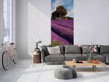 living walls Fototapete Lavendelfeld in der Provence, glatt, (1 St), Vlies, Wand, Schräge