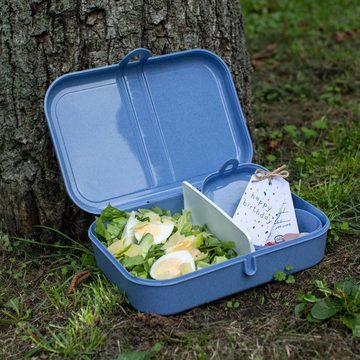 KOZIOL Lunchbox m. Trennsteg Pascal L Organic Blue, Kunststoff, (1-tlg)