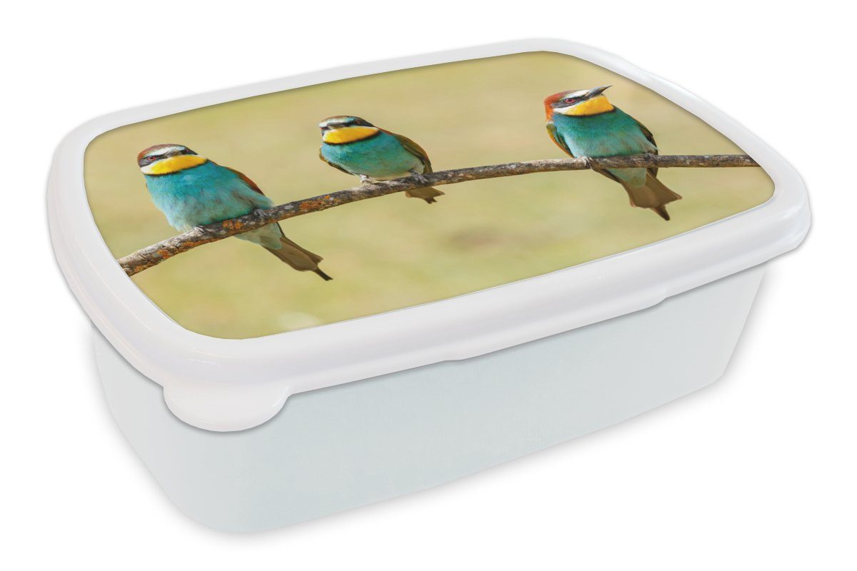 MuchoWow Lunchbox Vögel - Tiere - Bienenfresser, Kunststoff, (2-tlg), Brotbox für Kinder und Erwachsene, Brotdose, für Jungs und Mädchen weiß