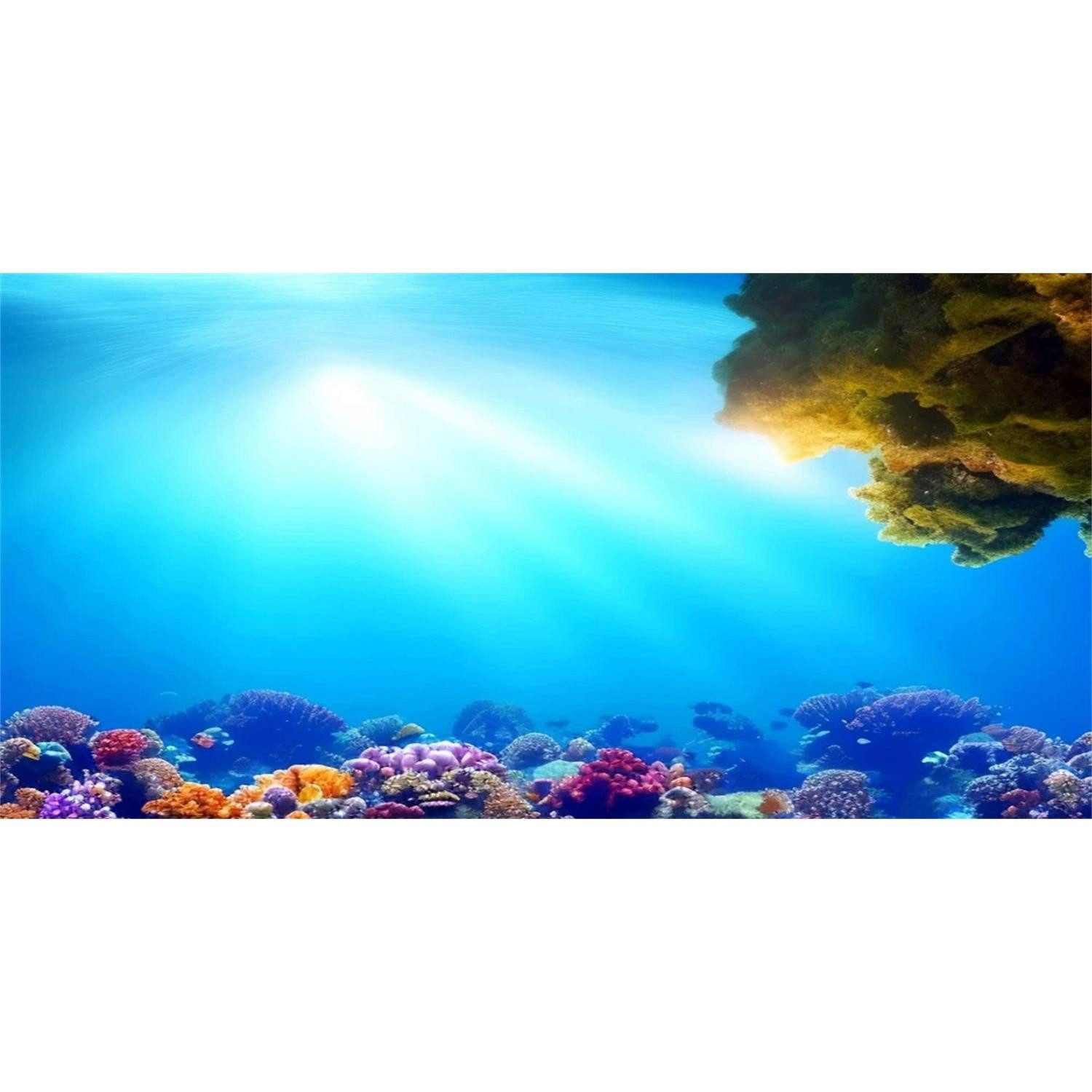 LuxusKollektion Aquarium Aquarium Hintergrund 120x46cm Blau Korallenriff Sonnenschein