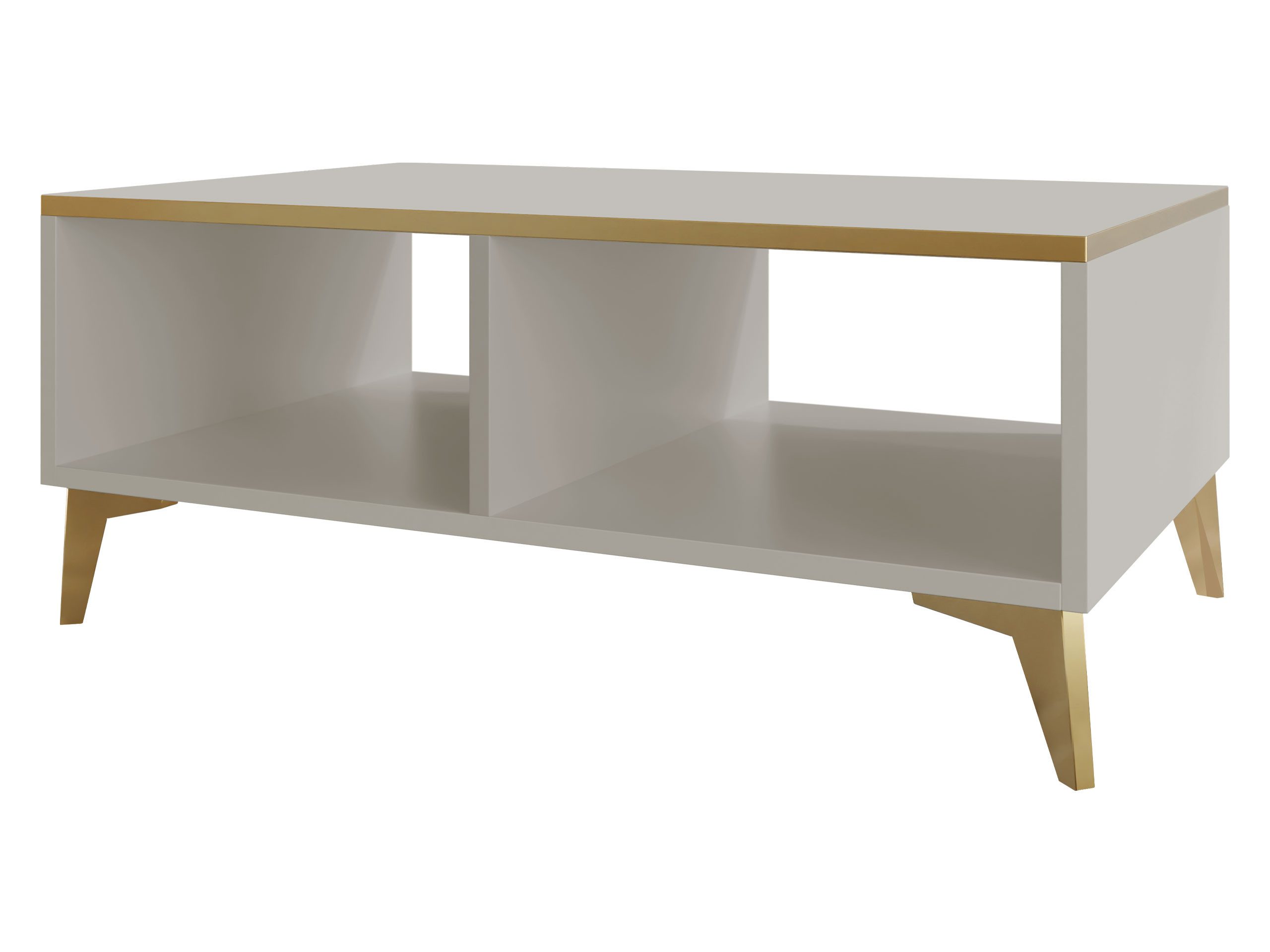 MIRJAN24 Couchtisch Aurora (mit Regal), 100x50x40 günstig online kaufen