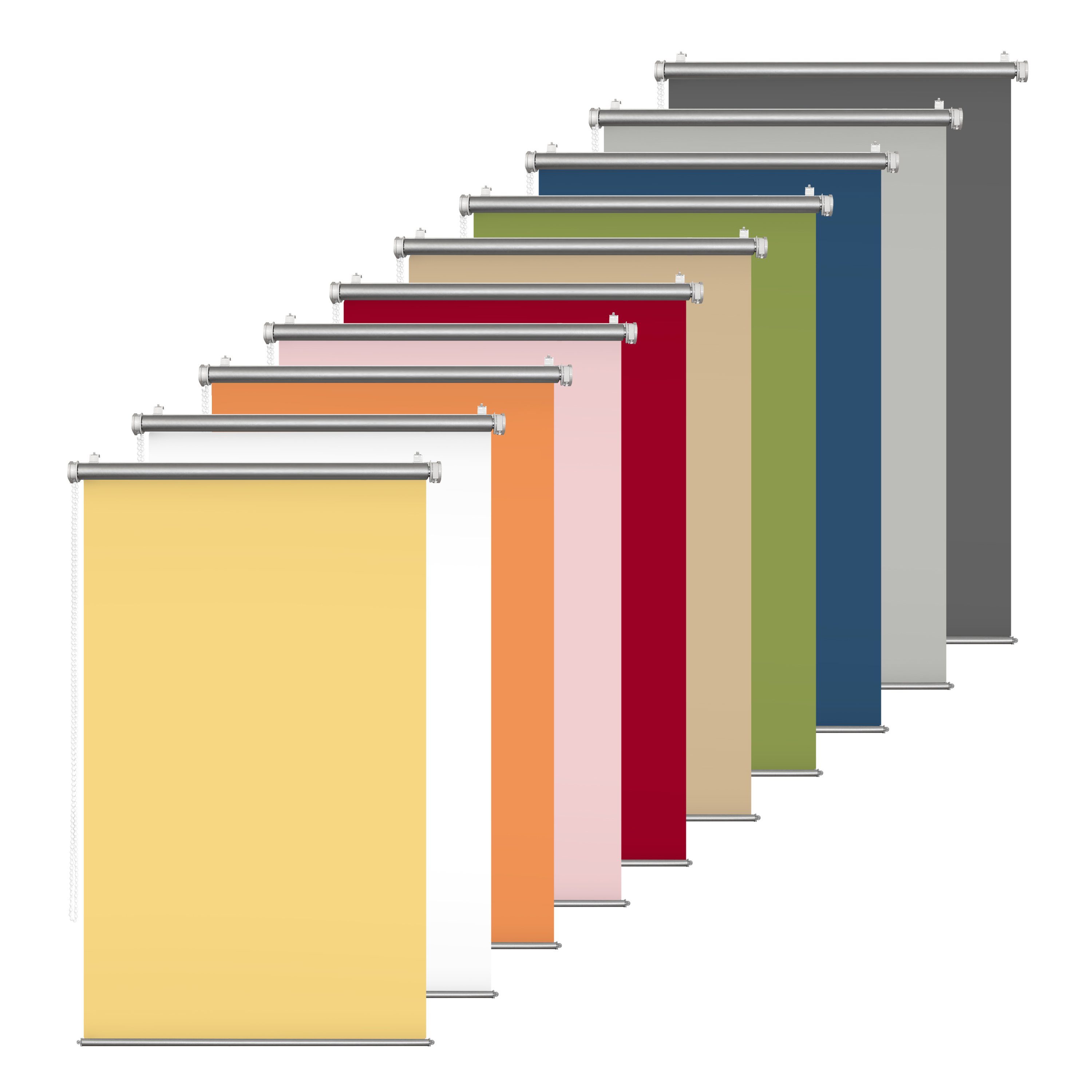 Rikmani Plissee Thermorollo Fensterrollo Seitenzugrollo Sichtschutz, günstig online kaufen