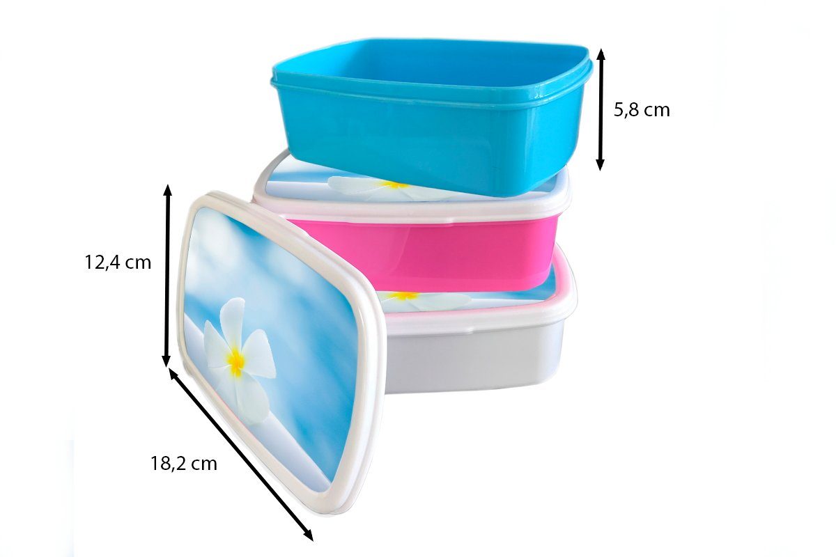 Strahlend Erwachsene, Brotbox Snackbox, Plumeria-Blüte, über MuchoWow Mädchen, (2-tlg), blauer Kunststoff, Lunchbox Kinder, einer Himmel Brotdose für rosa Kunststoff