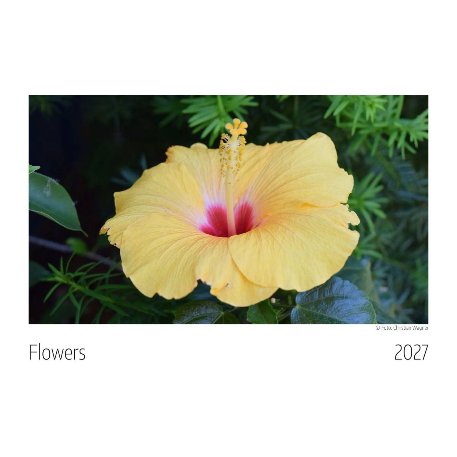WAGNER Wandkalender Flowers Kalender 2027