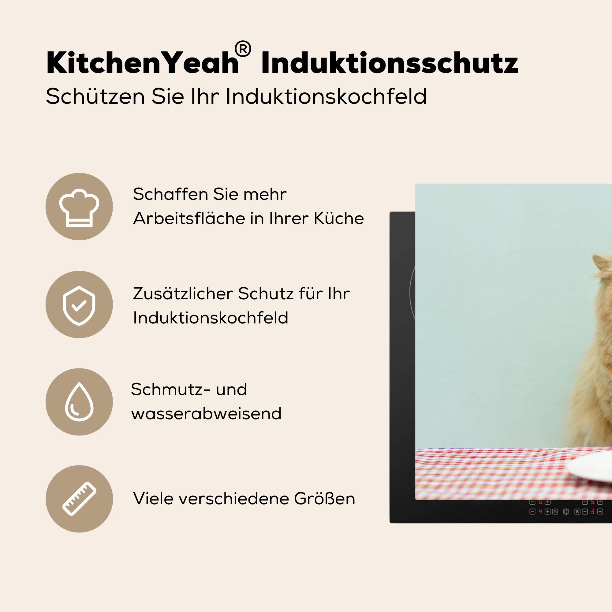 Vinyl, Herdblende-/Abdeckplatte für Schutz MuchoWow (1 Katze Induktionskochfeld tlg), cm, mit Kuchen, küche, die Ceranfeldabdeckung 81x52