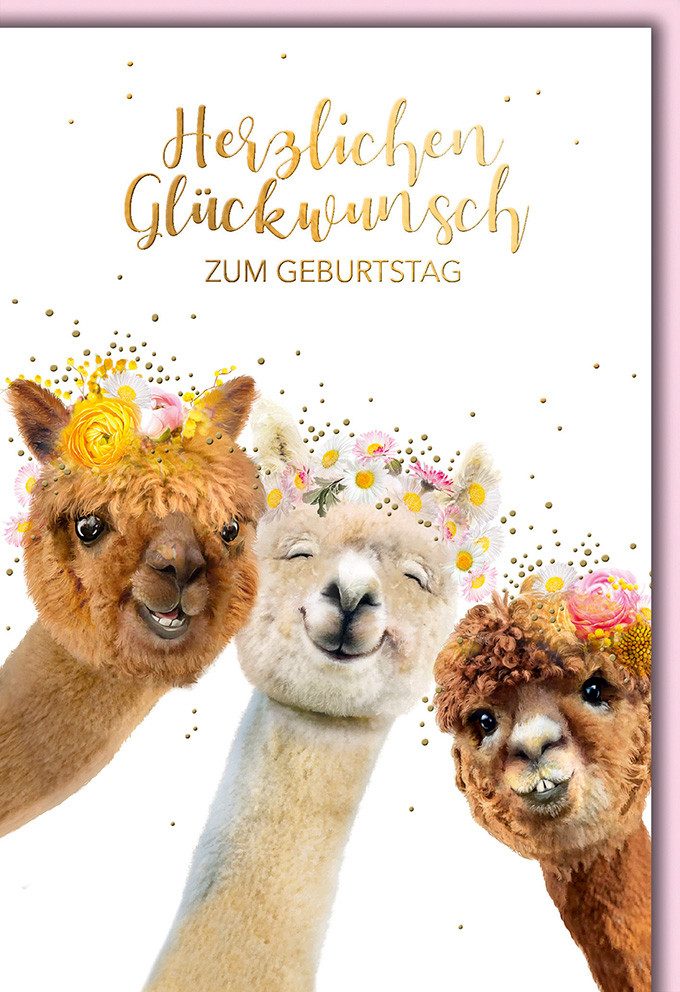 Verlag Dominique Grußkarten Geburtstag - Glückwunschkarte im Format 11,5 x 17 cm - Alpakas mit Blu