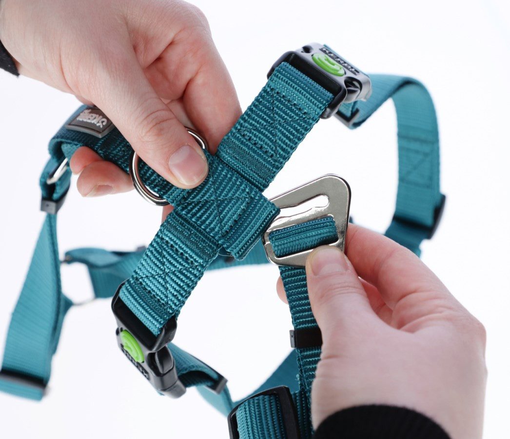 Kerbl Hunde-Halsband