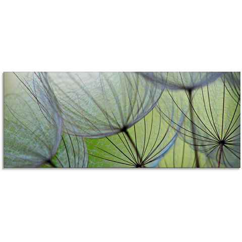 Artland Glasbild Pusteblumen-Samen II, Blumen (1 St), in verschiedenen Größen