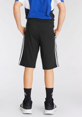 adidas Sportswear Shorts ESSENTIALS 3-STREIFEN KNIT (1-tlg)