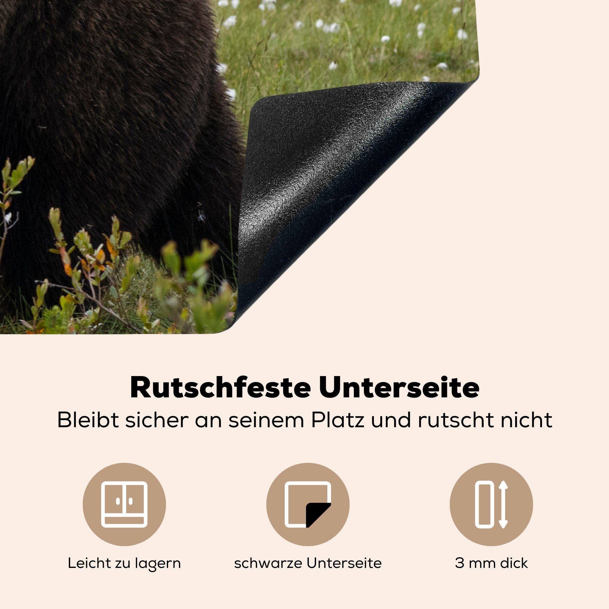 MuchoWow Herdblende-/Abdeckplatte Braunbär im die Wald, Vinyl, küche, 81x52 (1 Schutz für Ceranfeldabdeckung tlg), cm, Induktionskochfeld