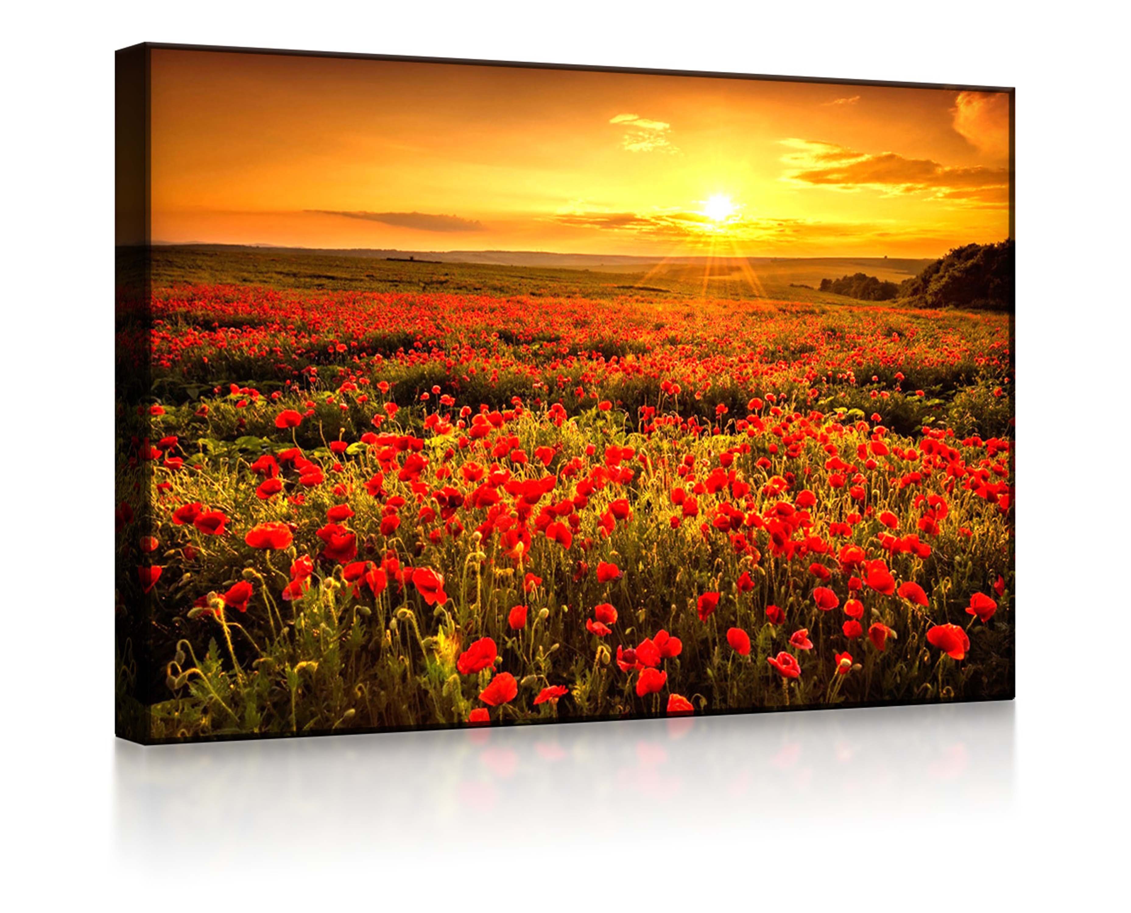 lightbox-multicolor LED-Bild Mohnblütenfeld bei traumhaftem Sonnenuntergang front lighted / 80x60cm, Leuchtbild mit Fernbedienung