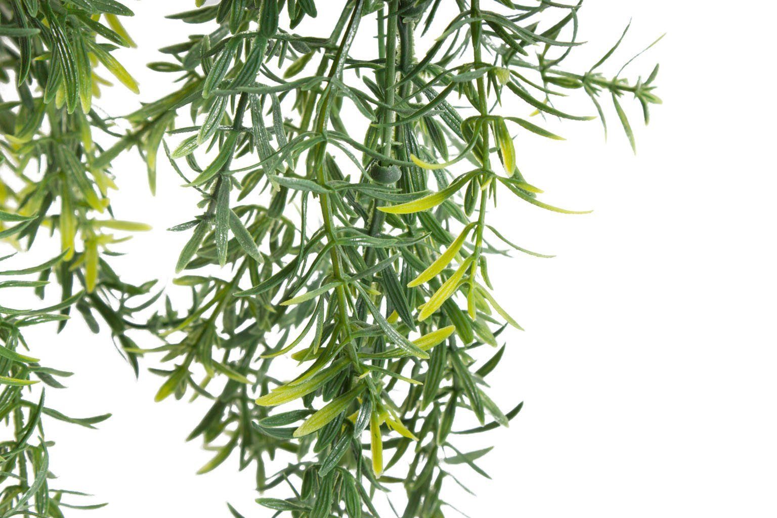 Künstliche Zimmerpflanze »Asparagus-Hängeampel« Asparagus, Botanic-Haus, Höhe 46 cm-HomeTrends