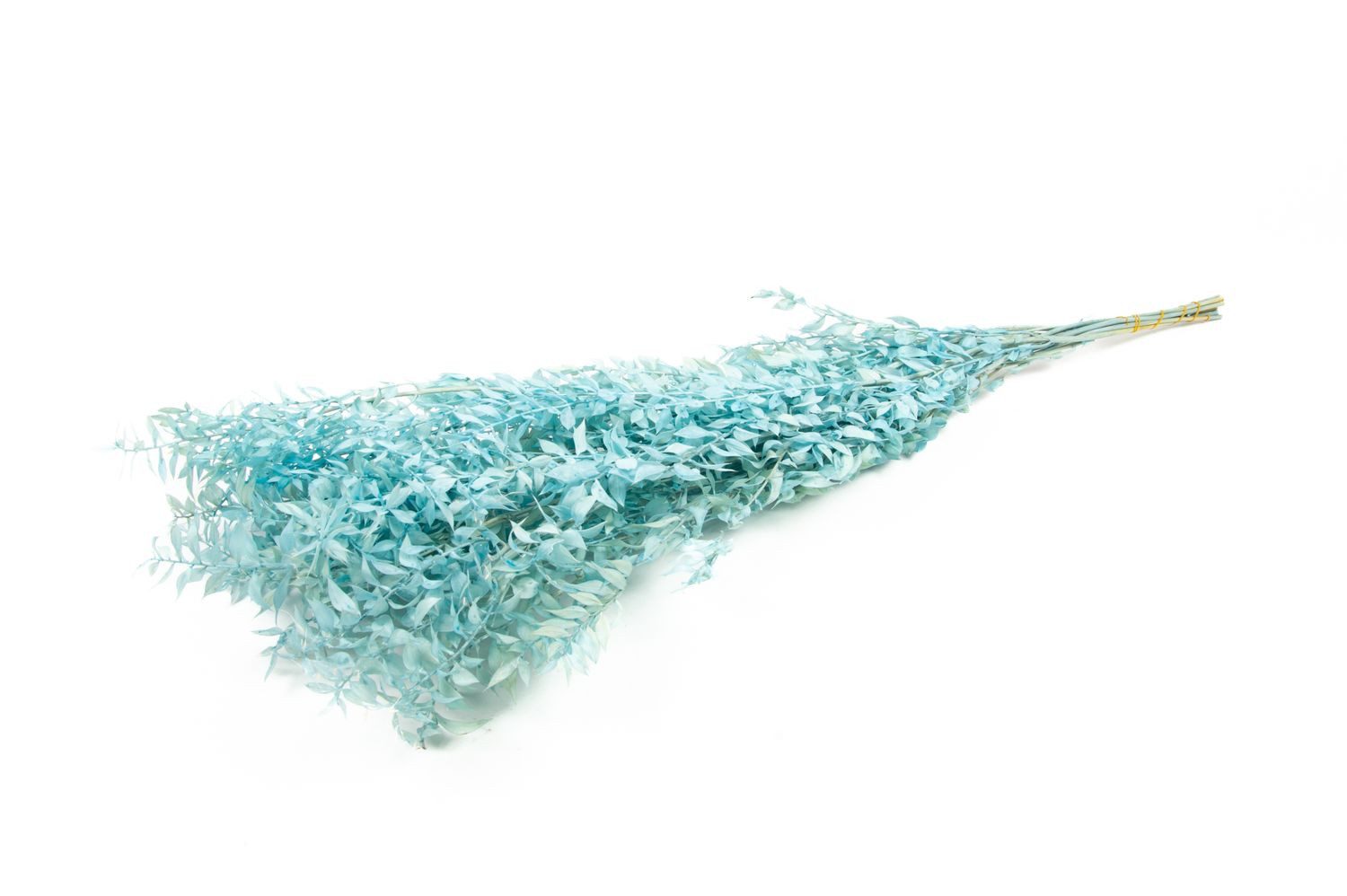 Trockenblume Ruscus Trockenzweige AGNIATA, hellblau, 70-75cm, Ø17cm, INNA-Glas, Höhe 75.0 cm