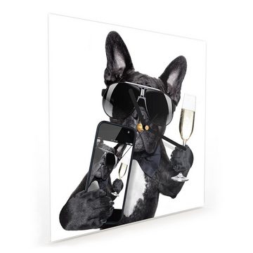 Primedeco Wanduhr Glasuhr Wanduhr Wandkunst Größe 30 x 30 cm mit Motiv Hund mit Prosecco und Handy