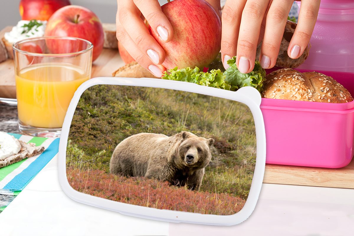Snackbox, MuchoWow Erwachsene, (2-tlg), Kunststoff, Lunchbox Brotbox Kunststoff Kinder, Brotdose Grizzly, - Heidekraut für - Bär rosa Mädchen,