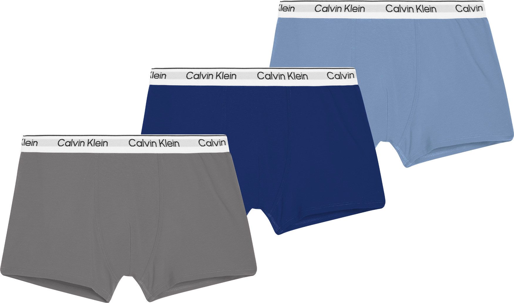 Calvin Klein Underwear Trunk 3PK TRUNK günstig online kaufen