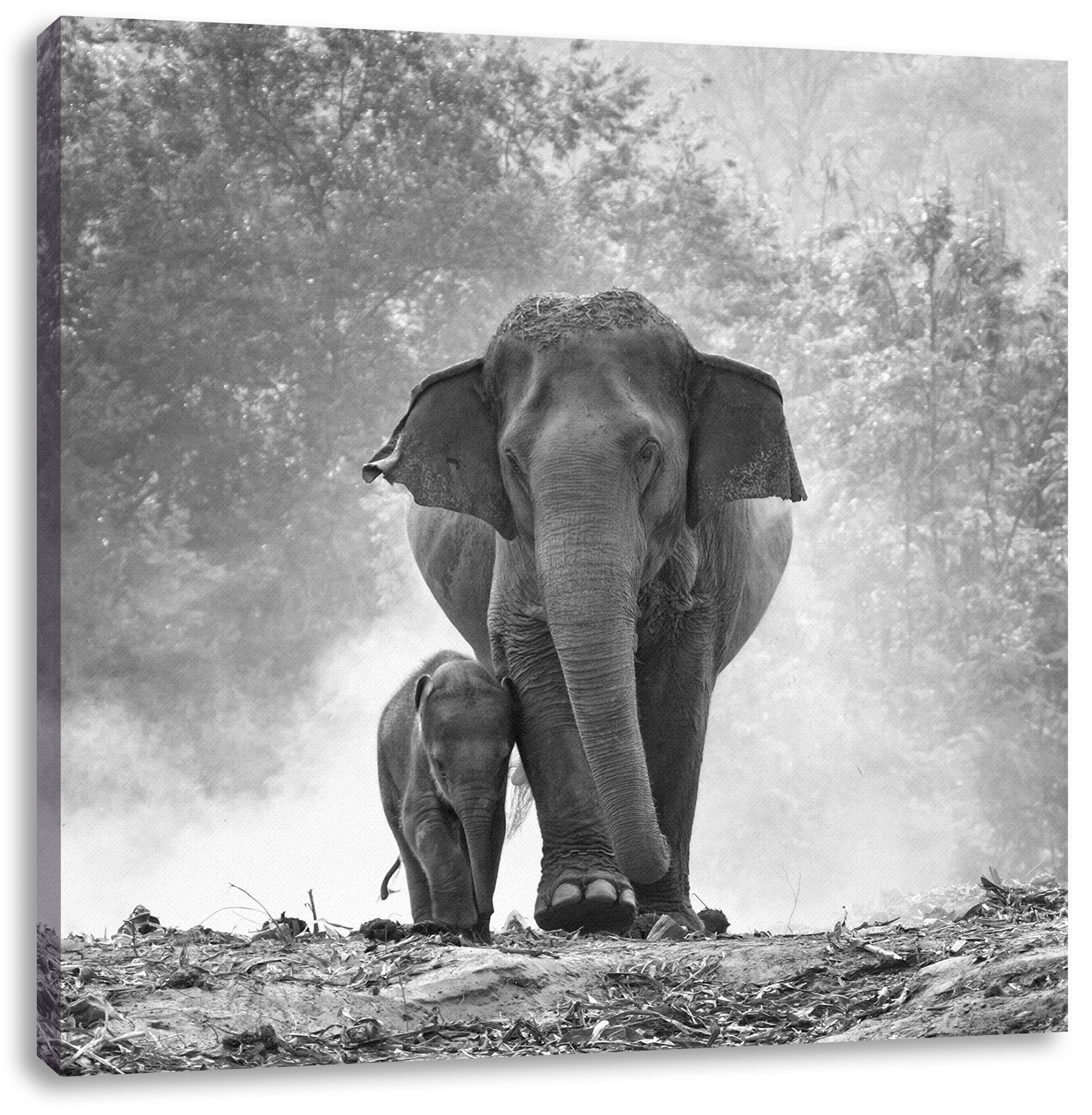 Leinwandbild Pixxprint Baby St), (1 bespannt, Elefanten Leinwandbild Baby Mama, Elefanten inkl. Mama Zackenaufhänger fertig