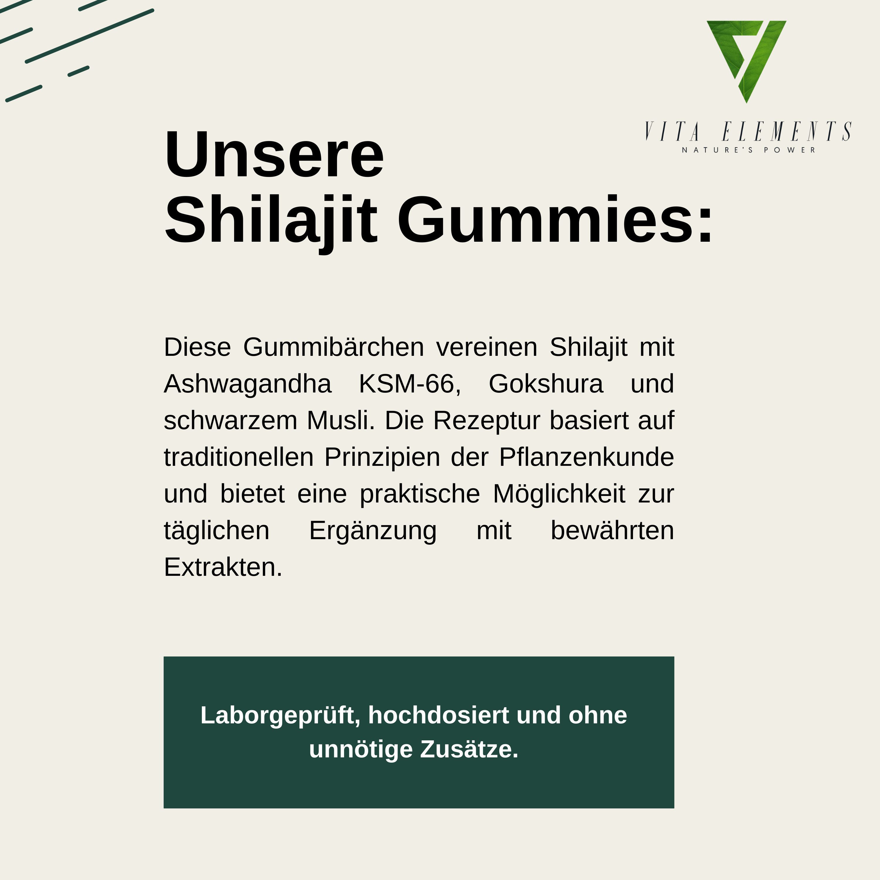 Vita Elements Himalaya Shilajit Gold Gummibärchen, 60 St., Vegan frei von Gentechnik Laborgeprüft in Deutschland Gummies