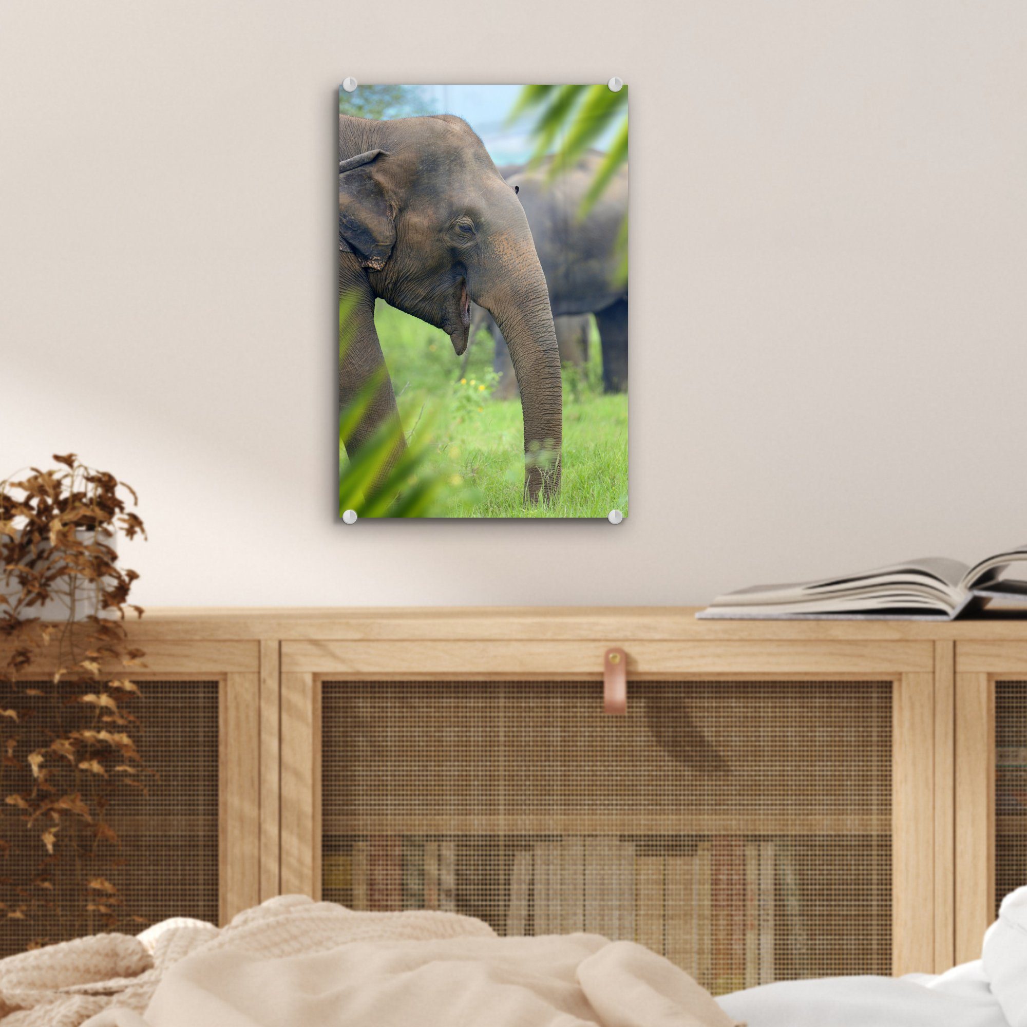 - Wanddekoration - - Glasbilder auf Palme Glas auf - MuchoWow Glas Tiere, Acrylglasbild Wandbild (1 Bilder - St), Foto Elefant
