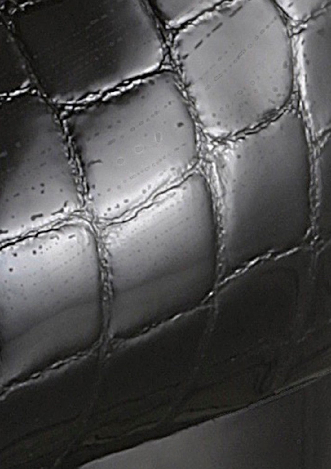 Ara GRAZ Pumps, Abendschuh, Festtagsschuh, Blockabsatz, mit Reptilprägung günstig online kaufen