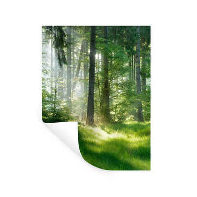 MuchoWow Wandsticker Natur - Bäume - Wald - Grün - Sonne - Gras - Pflanzen (1 St), Wandaufkleber, Wandtattoo, Selbstklebend, Wohnzimmer, Schlafzimmer