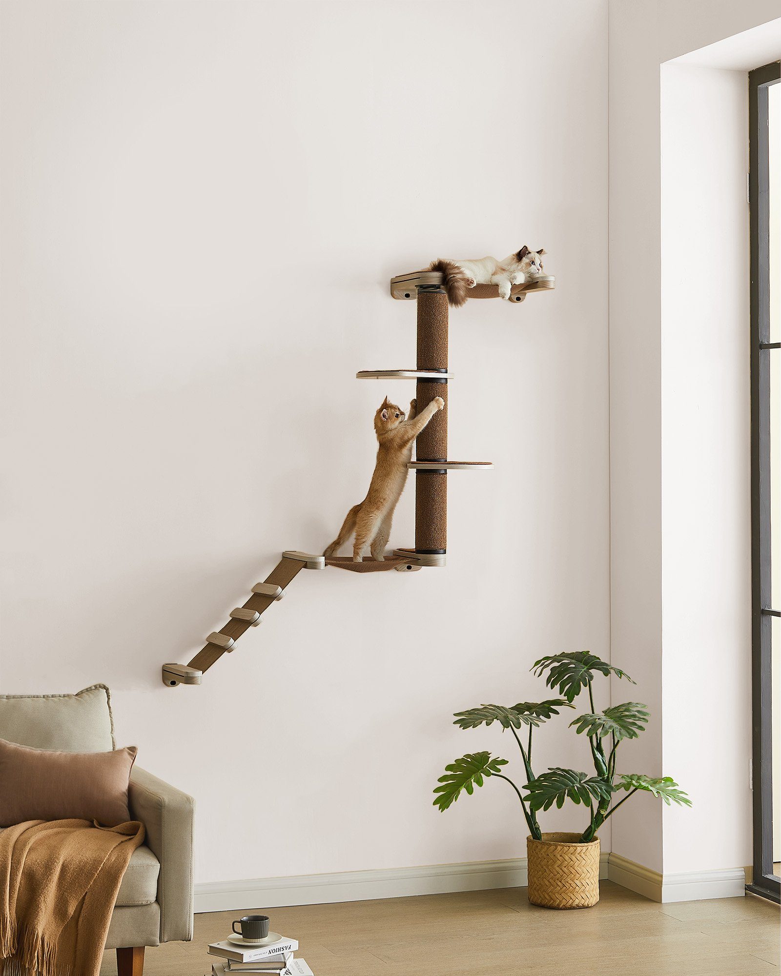 FEANDREA Kratzbaum, Clickat Katzenmöbel 3er Set, mit Leiter,101cm ... - FeanDrea Kratzbaum Clickat Katzenmoebel 3er Set Mit Leiter 101cm Kratzsaeule