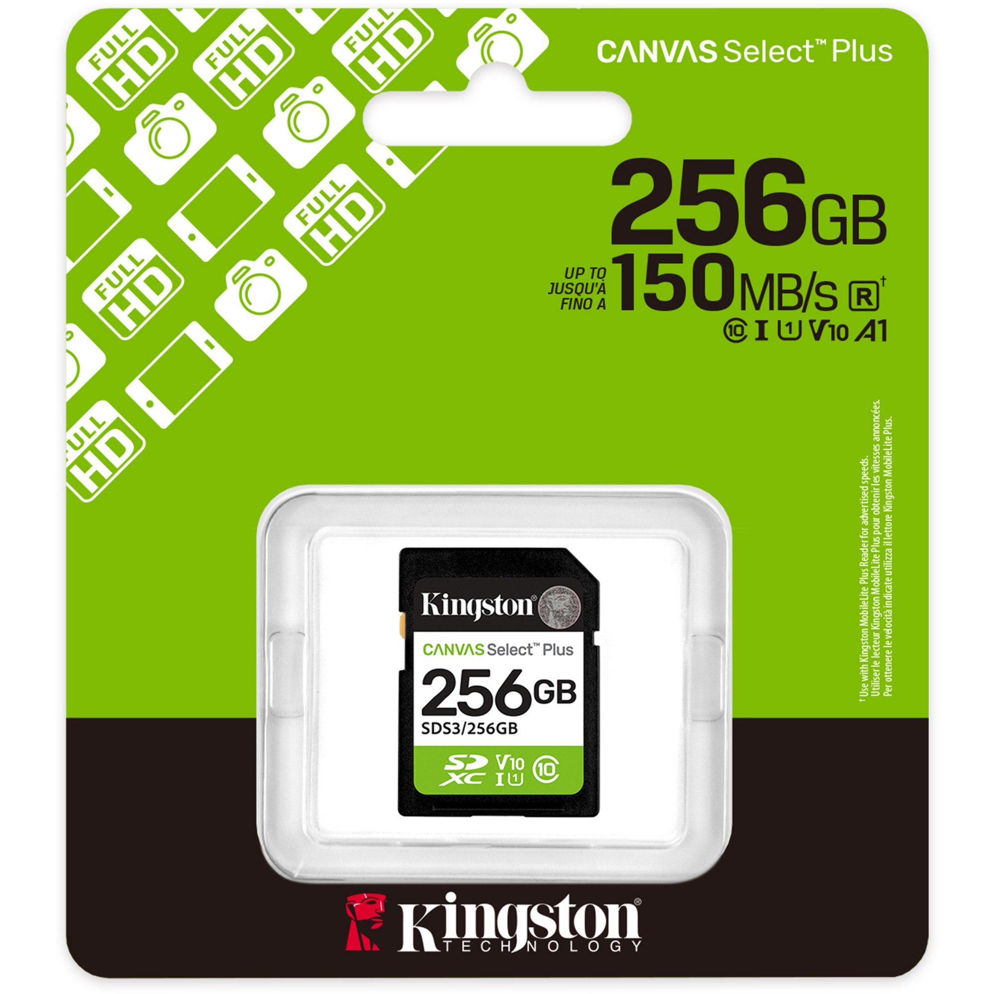 Kingston Kingston Canvas Select Plus 256 GB SDXC, externer Speicher (256 GB GB)
