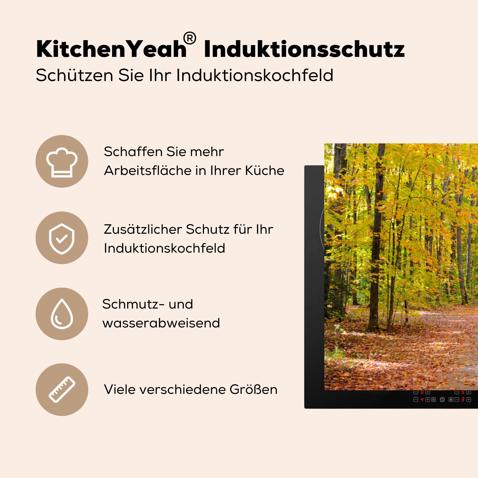 MuchoWow Vinyl, Wald Herdblende-/Abdeckplatte für cm, Ceranfeldabdeckung - (1 - Herbst, küche, Schutz Haiwatha Forest Induktionskochfeld National tlg), die 81x52