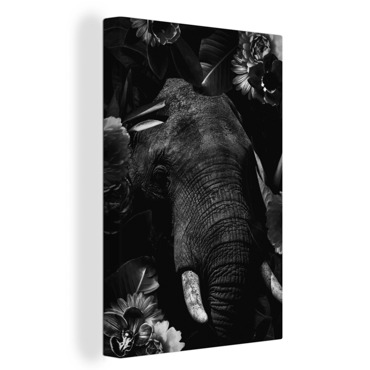 inkl. Leinwandbild (1 - dunklem Elefant Zackenaufhänger, 20x30 weiß, OneMillionCanvasses® Leinwandbild bespannt fertig Botanischer und St), Hintergrund Gemälde, cm schwarz vor