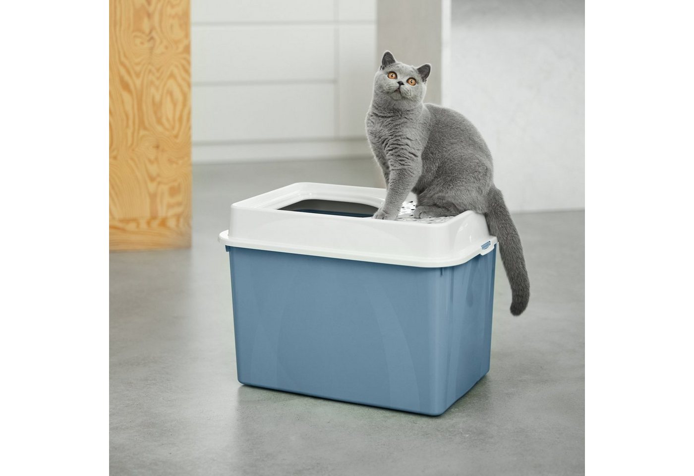 Thumbnail - ROTHO Katzentoilette MyPet Eco Berty Katzenklo mit Top-Eingang, Kunststoff (PP recycelt)