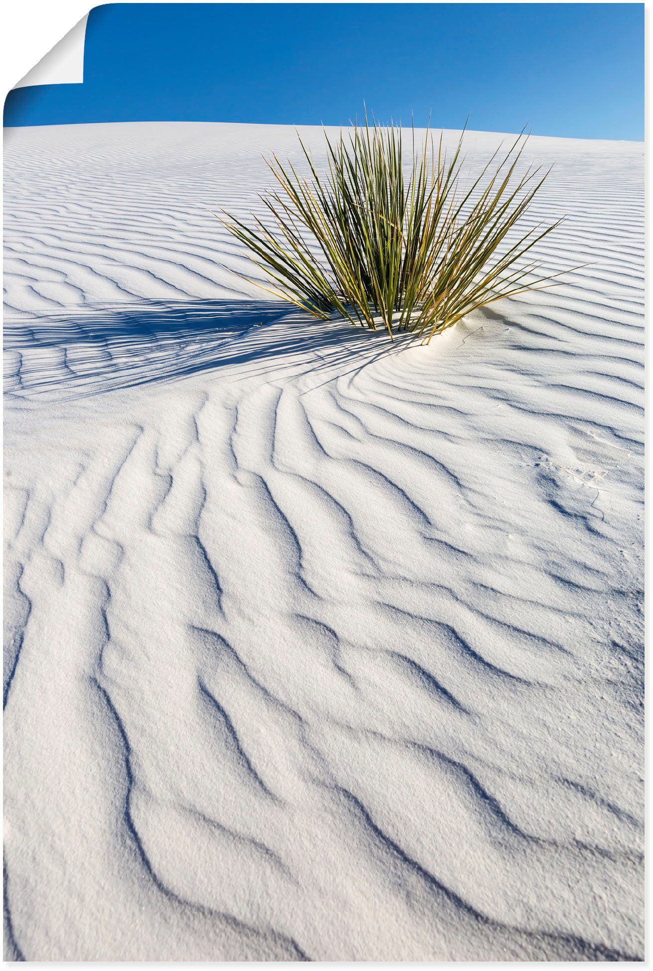 Artland Wandbild »Dünen White Sands«, Wüstenbilder (1 Stück), in vielen Größen & Produktarten - Alubild / Outdoorbild für den Außenbereich, Leinwandbild, Poster, Wandaufkleber / Wandtattoo auch für Badezimmer geeignet-Otto