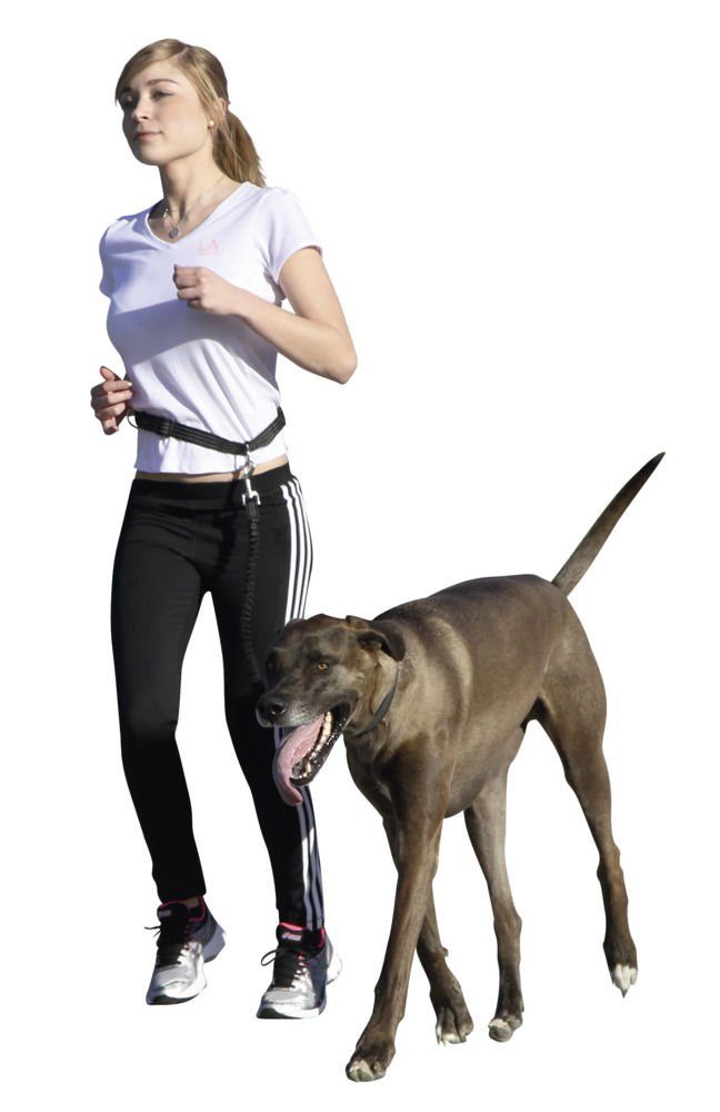 Kerbl Leine Kerbl Joggingleine Active mit Hüftgurt Hunde Leine 81181