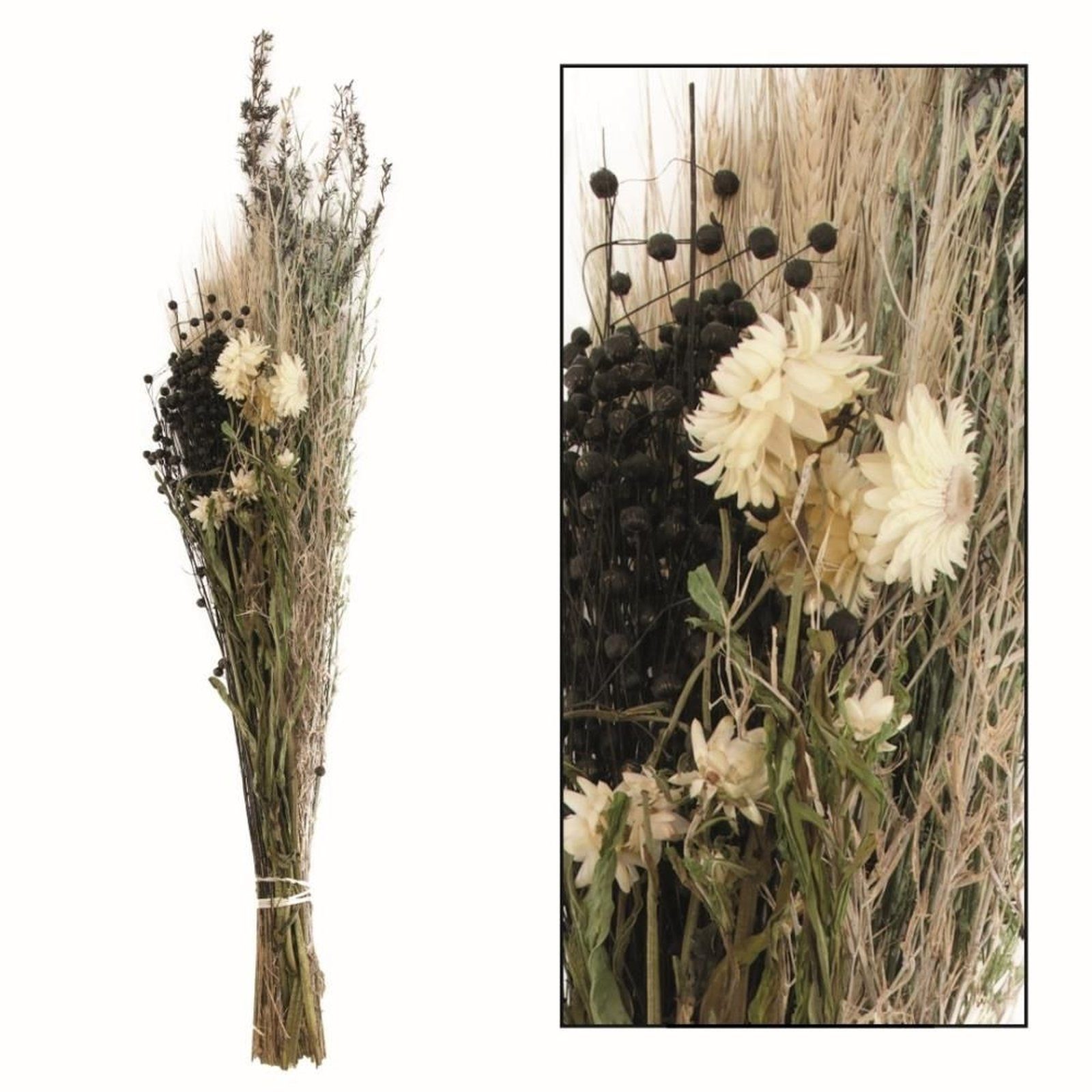 Trockenblume Getrockneter Blumenstrauß natur dried 78x15x12 DIJK bouquet - flower - cm