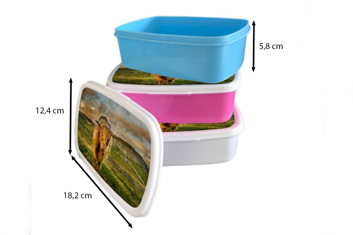 rosa - Brotbox Brotdose Kunststoff, Snackbox, Gras Highlander Kinder, Berg, - Kunststoff Lunchbox MuchoWow Erwachsene, (2-tlg), für Mädchen, Schottischer