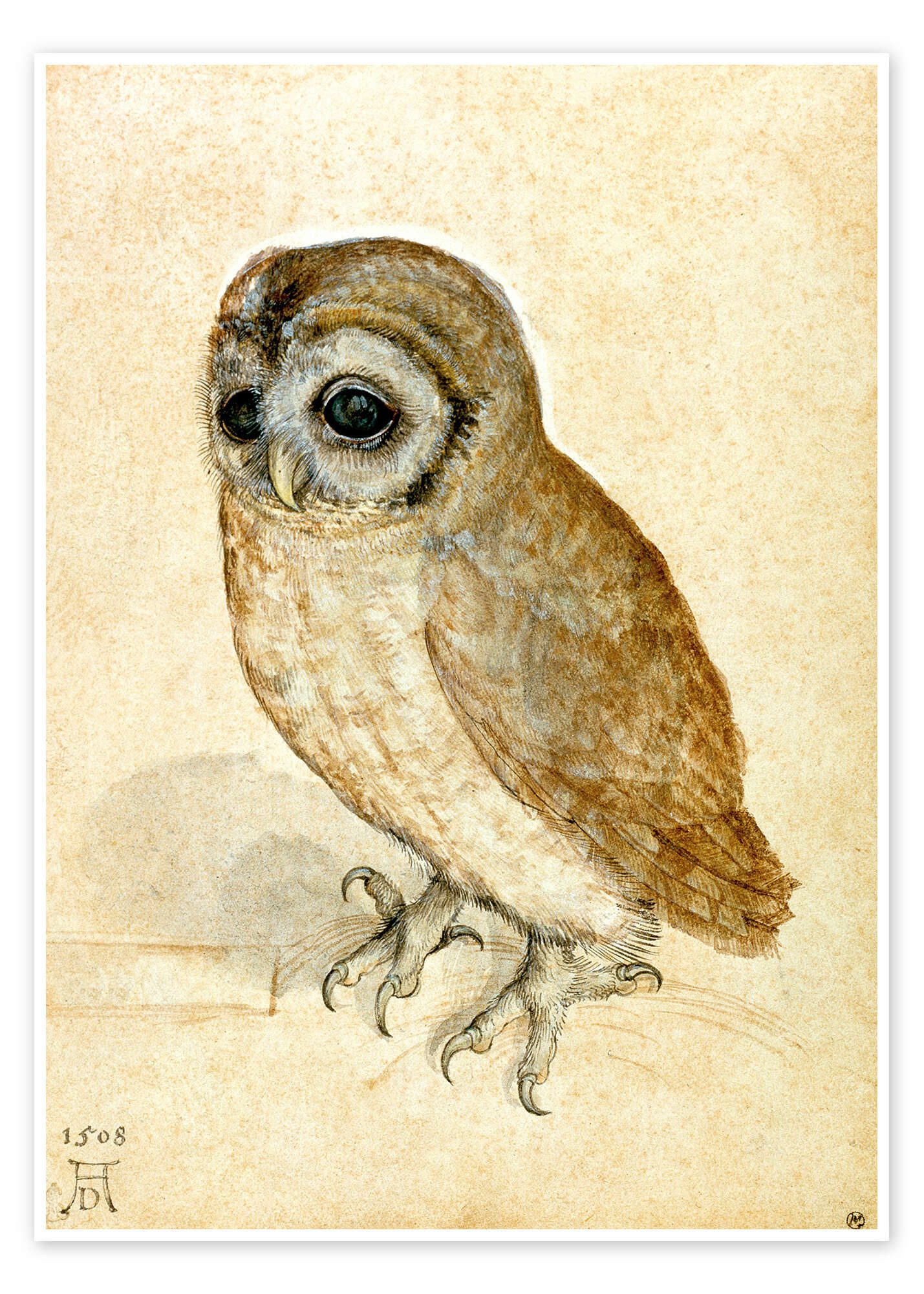 Poster Albrecht Dürer