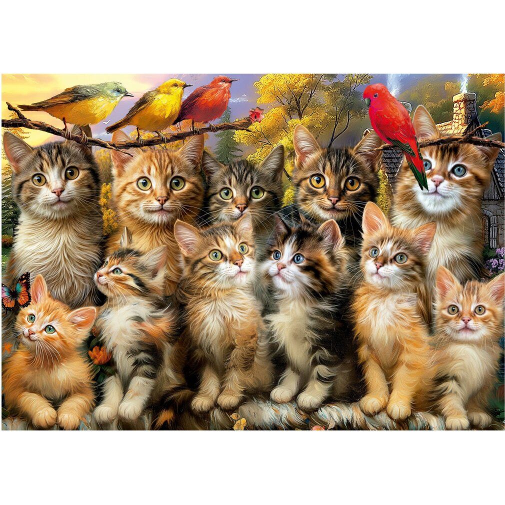 Educa Puzzle Puzzle Katzen und Katzen 500 Puppen, Puzzleteile