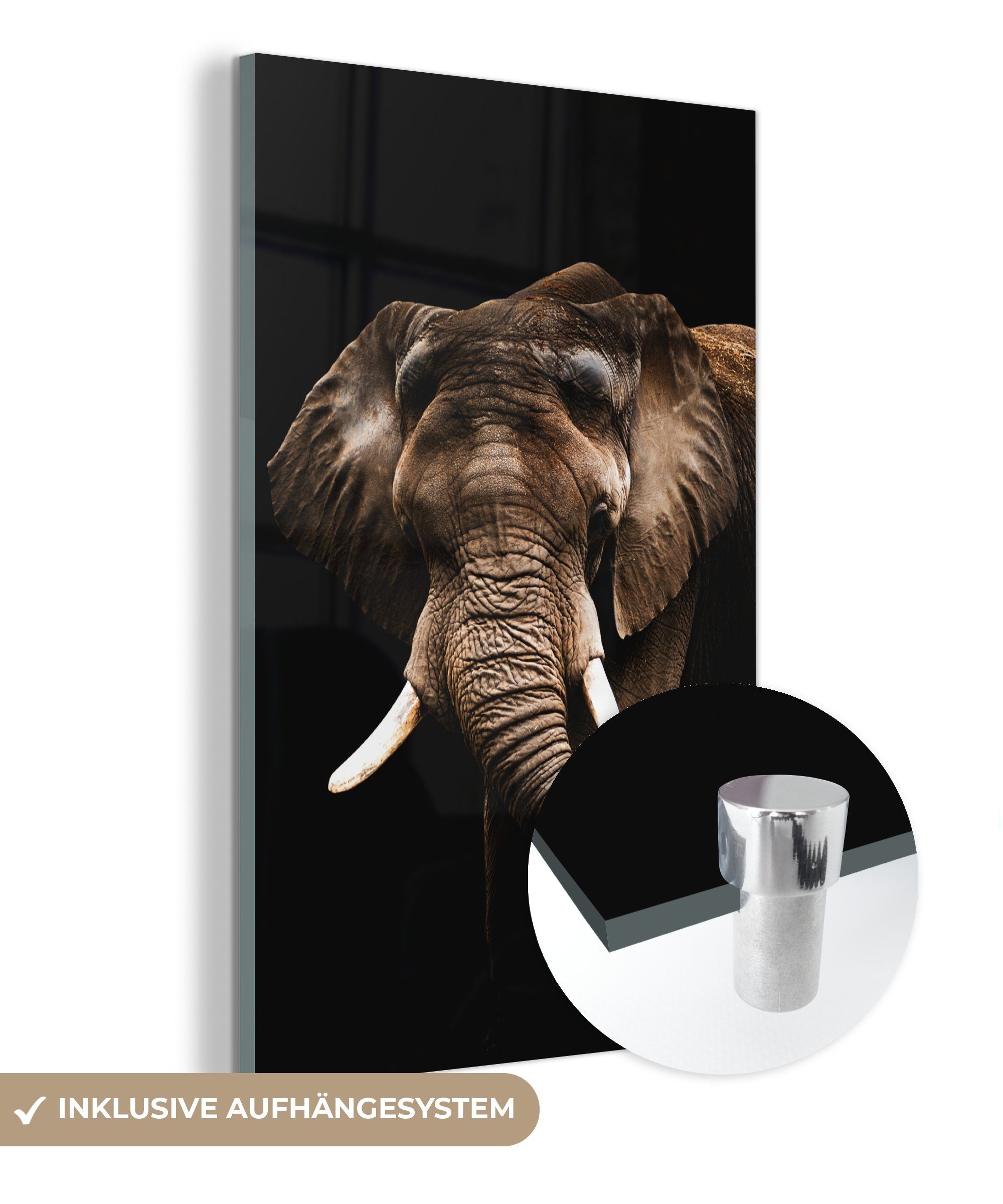 MuchoWow Acrylglasbild Elefant - Schwarz Wanddekoration Foto St), auf - Glas Glas auf Glasbilder bunt (1 Tiere, - - - Wandbild Bilder
