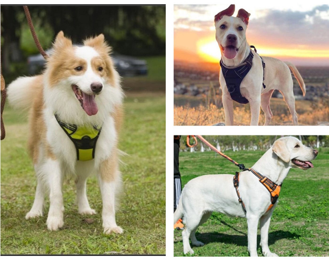 Thumbnail - BYSURE Hunde-Geschirr, Nylon, Anti-Zieh-Hundegeschirr mit Leine