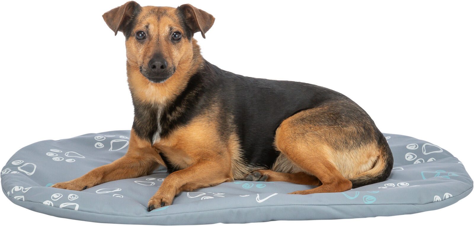 TRIXIE Tierkissen Kissen Jimmy - hellgrau - 64 × 41 cm